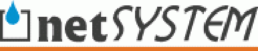 netsystem logo